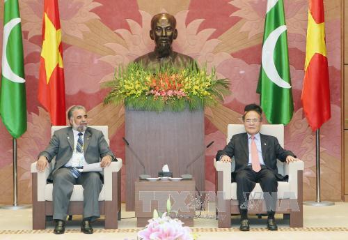 Chủ tịch Quốc hội Nguyễn Sinh Hùng tiếp Chủ tịch Hạ viện Pakistan ảnh 1